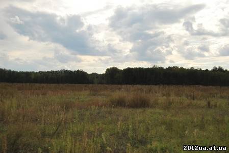 пай, участок, купить, в Киевской области