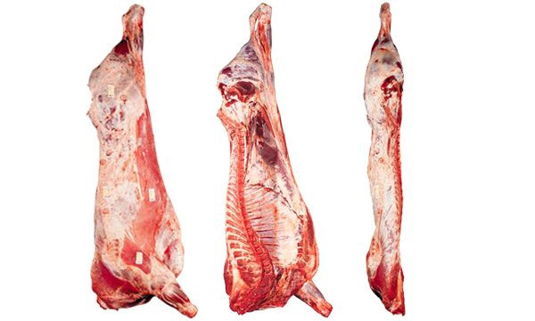 Закупаем мясо свинины и говядины оптом