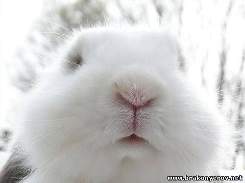 Сборка бус на дому