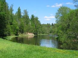 Продажа участка с домом в с. Германовка Обуховский р-н