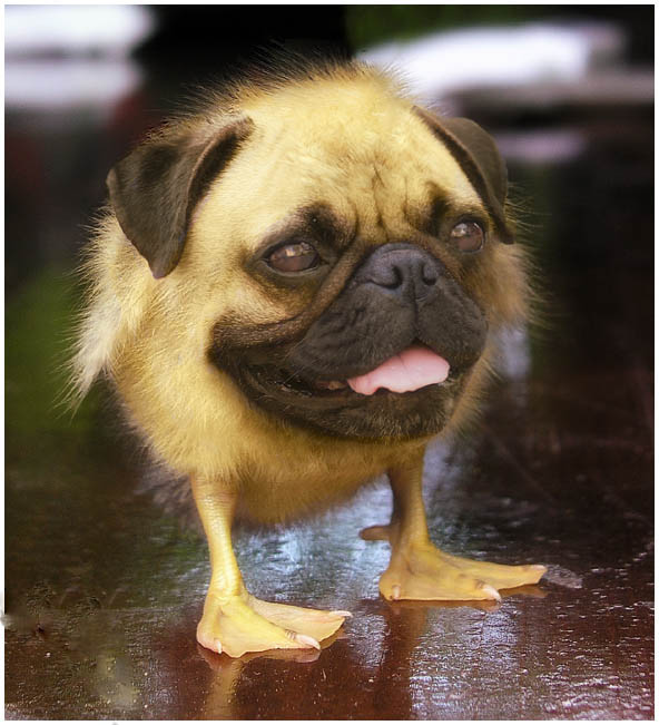 Бетон с доставкой