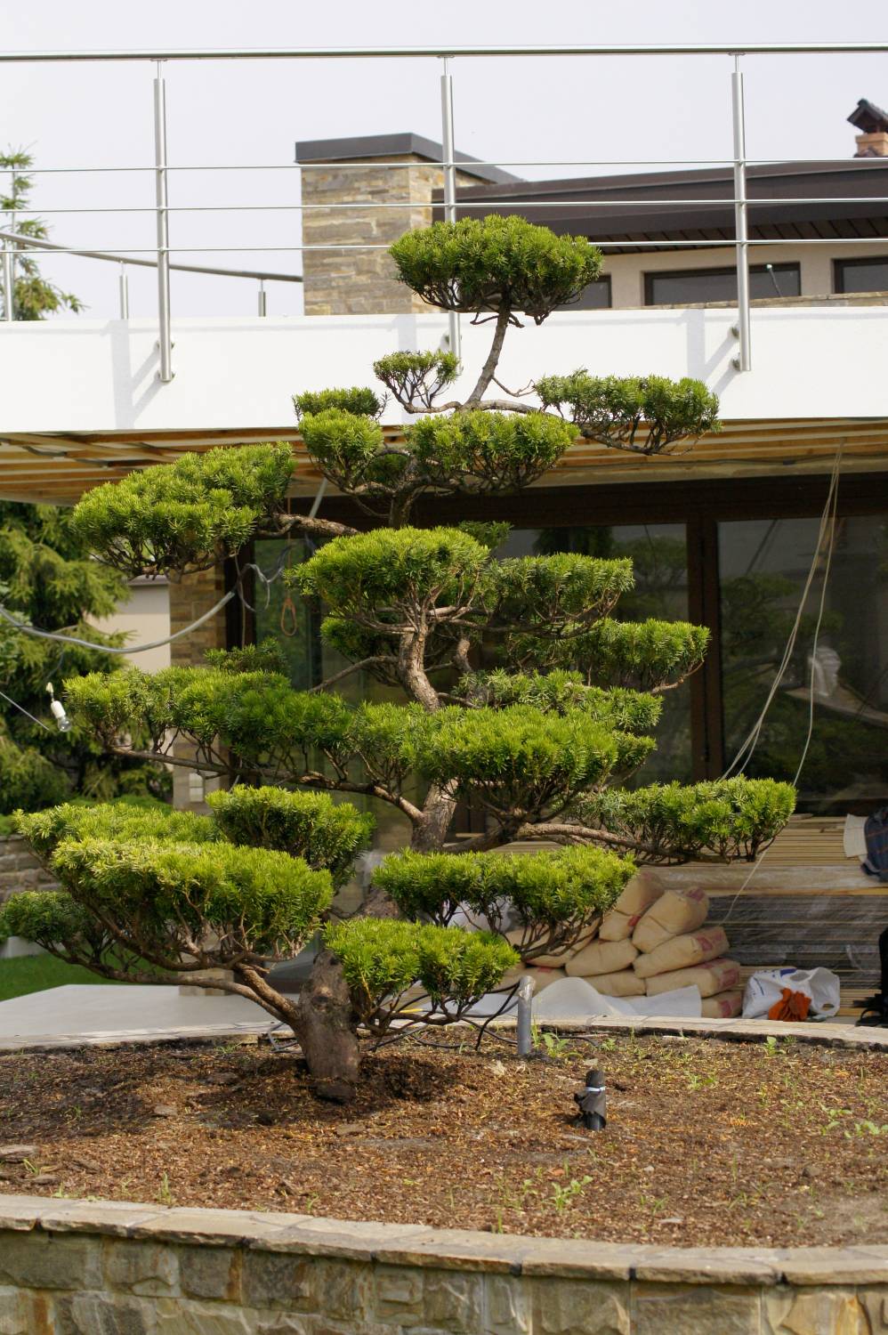 Японские бонсаи и ниваки .