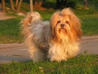 Менеджер по работе с клиентами