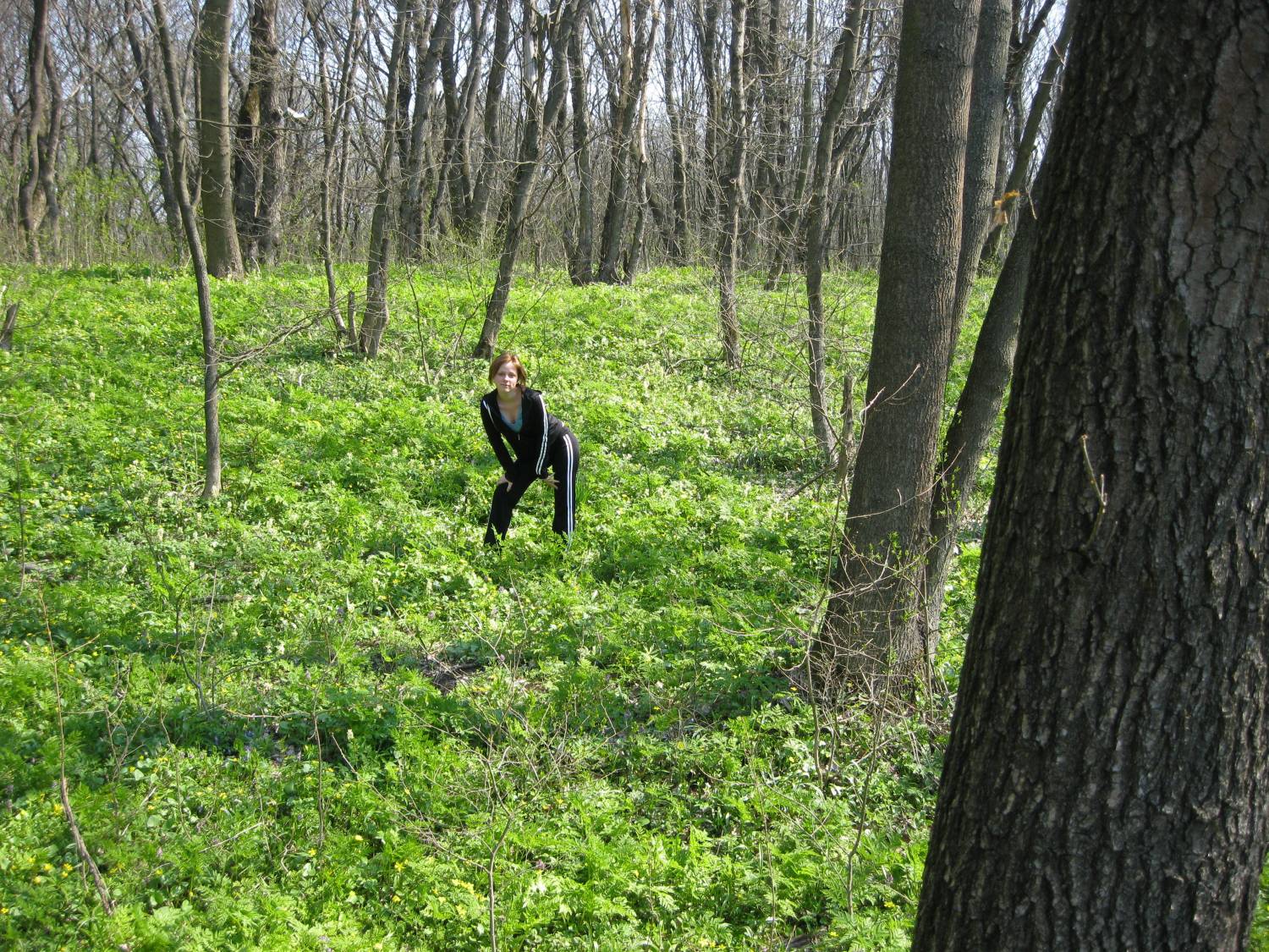 Продам земельный участок