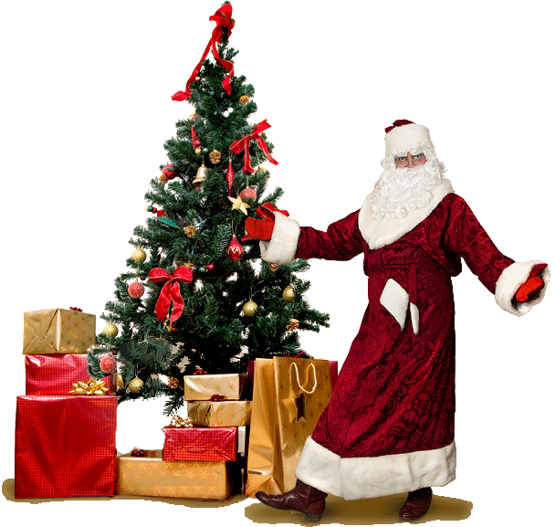 Новый год! Дед мороз и снегурочка! Шоу программы!