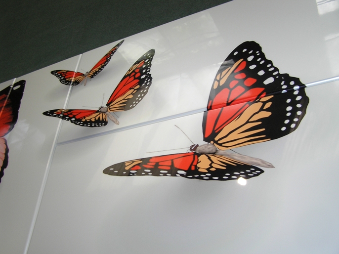 МДФ фасады ламинированные, в т.ч. с фото (ФМП).