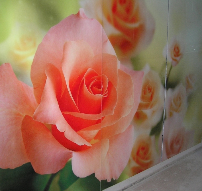 Декор стекла, зеркала, МДФ на мебельных фасадах. Производитель.